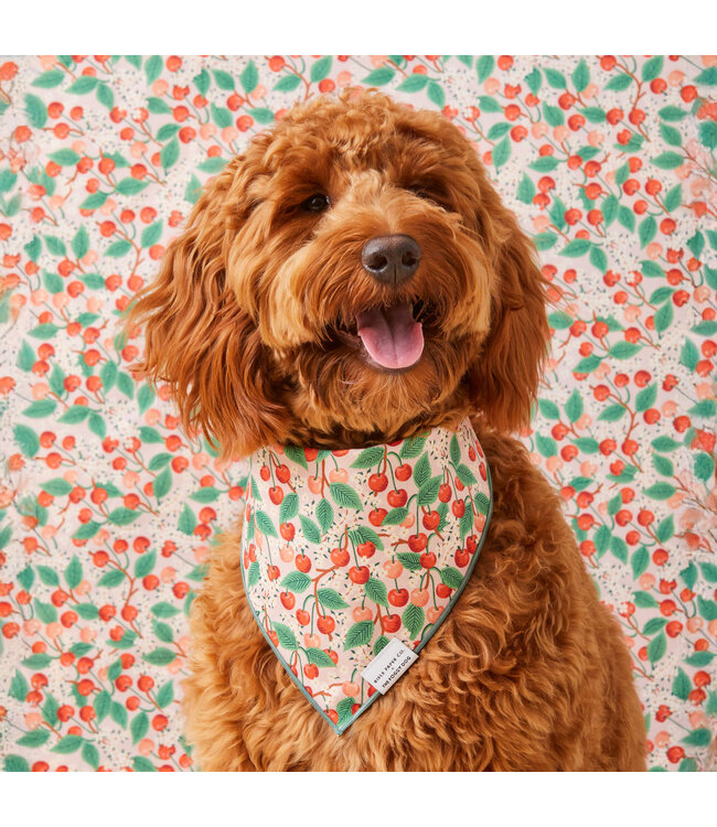 The Foggy Dog Dog Bandana - Medium