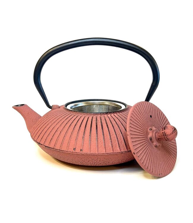 Cast Iron Tea Pot - Coral, 27 oz