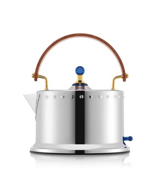 Bodum OTTONI Electric Water Kettle, 34 OZ, Stainless Steel