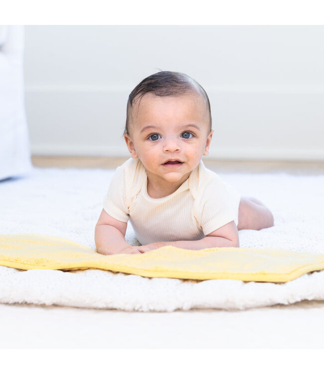 Bella Tunno Reversible Bib + Burp Set