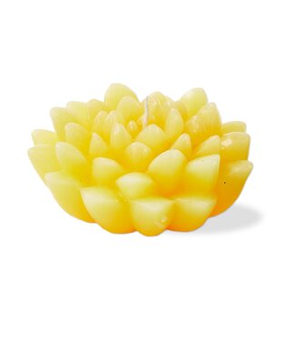 Tag Blossom Flower Candle