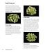 The Book of Hops