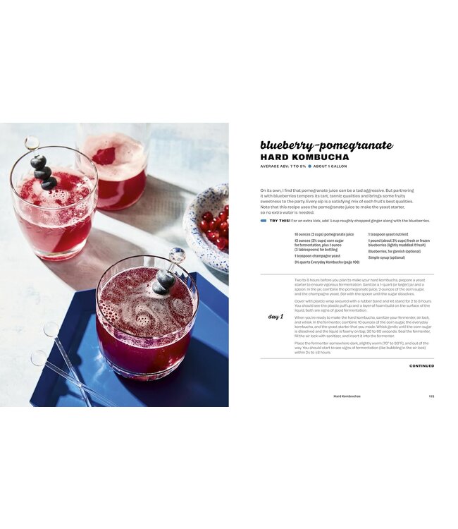 Hard Seltzer, Iced Tea, Kombucha & Cider