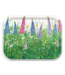 Lupine and Daisies Large Tray