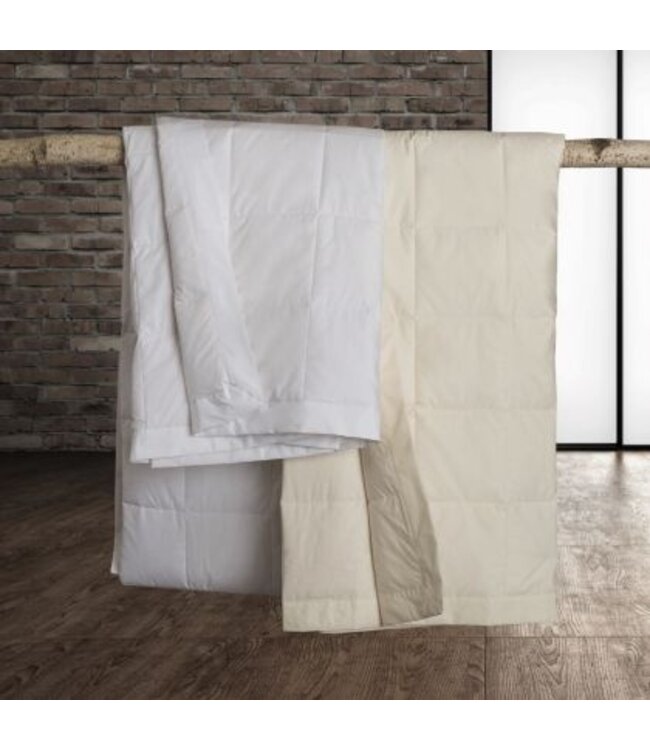 Downright Classic Down Alternative Blanket - WHITE