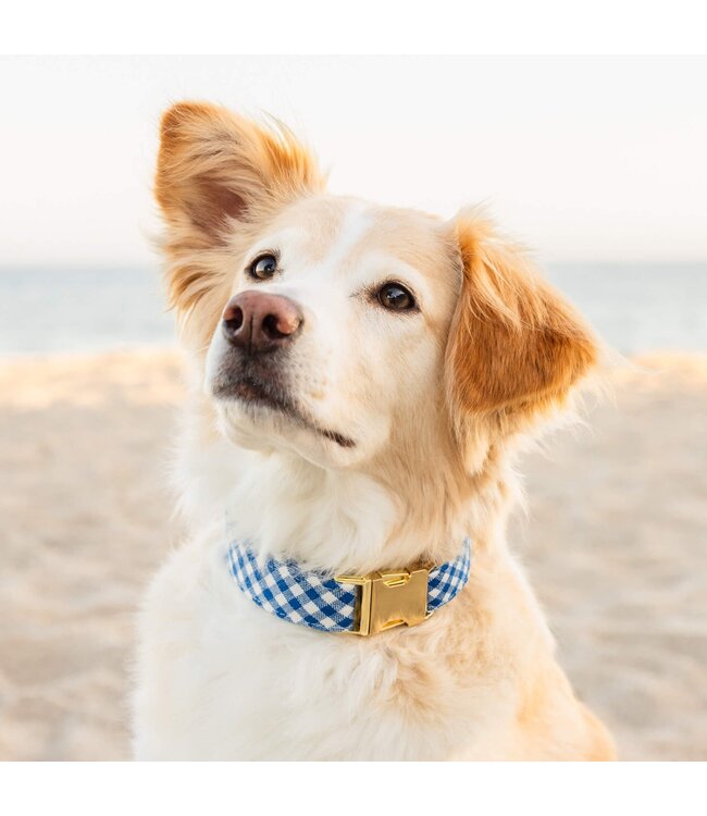 The Foggy Dog Summer Dog Collars