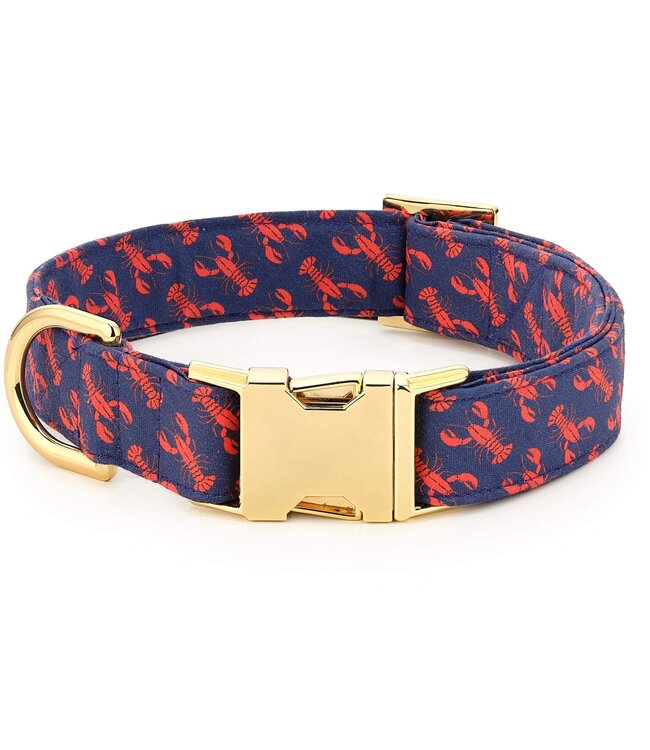 The Foggy Dog Summer Dog Collars