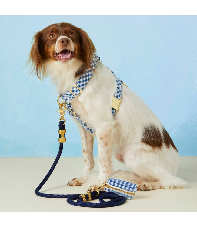 The Foggy Dog Dog Harness
