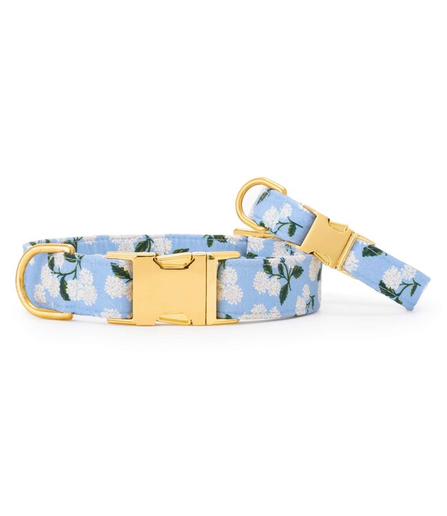 The Foggy Dog Dog Collar
