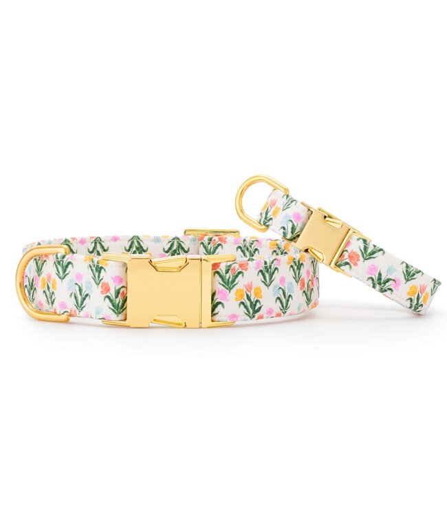 The Foggy Dog Dog Collar