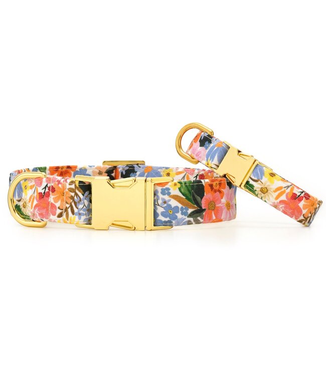 The Foggy Dog Dog Collar