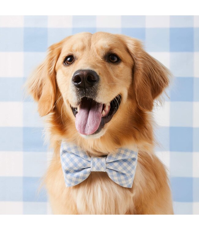 The Foggy Dog Dog Bow Ties