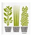Swedish Dishcloth - Herbs - Green