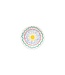 Casafina Summer Bliss Dinnerware