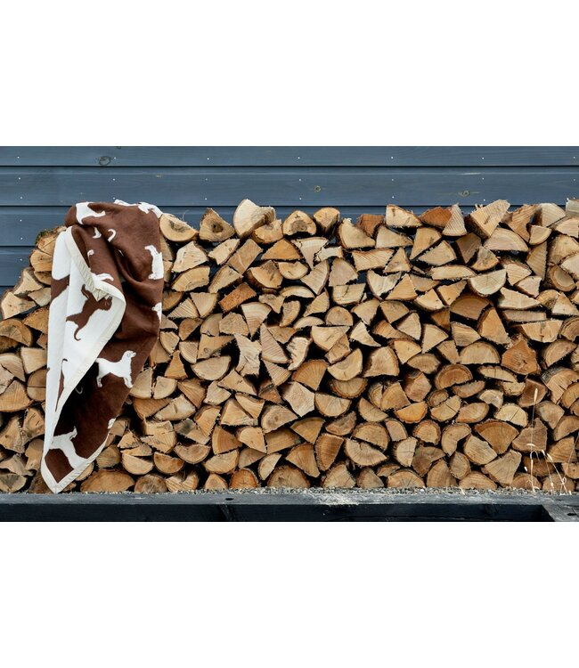 TL at Home Lab  Throw