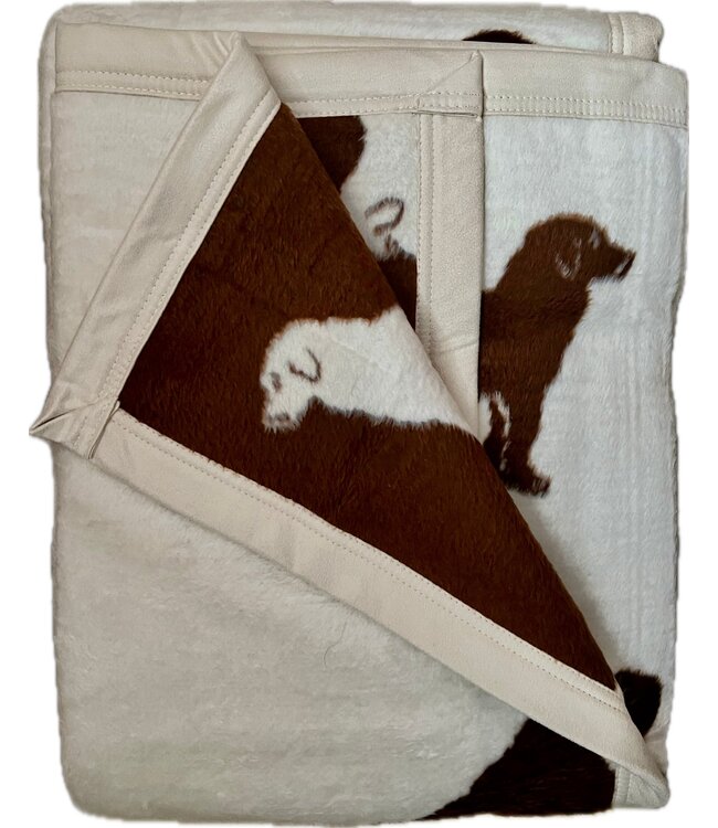 TL at Home Lab  Throw