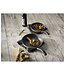 Zwilling BALLARINI Parma by HENCKELS Forged Aluminum Nonstick Fry Pan Set - 2PC