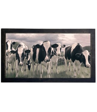 Holstein Cows Pt. 2 - Horizontal