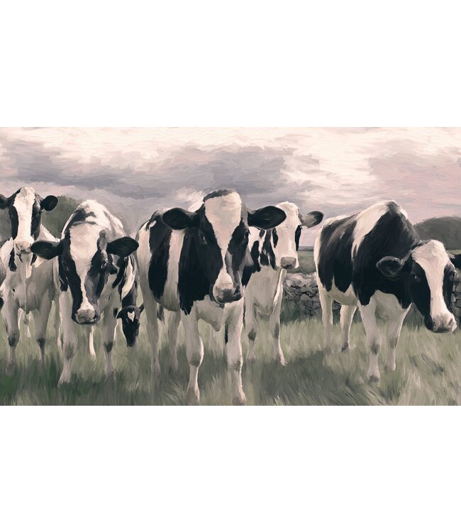 Holstein Cows Pt. 2 - Horizontal