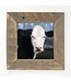 Holstein Cow White Face - Square