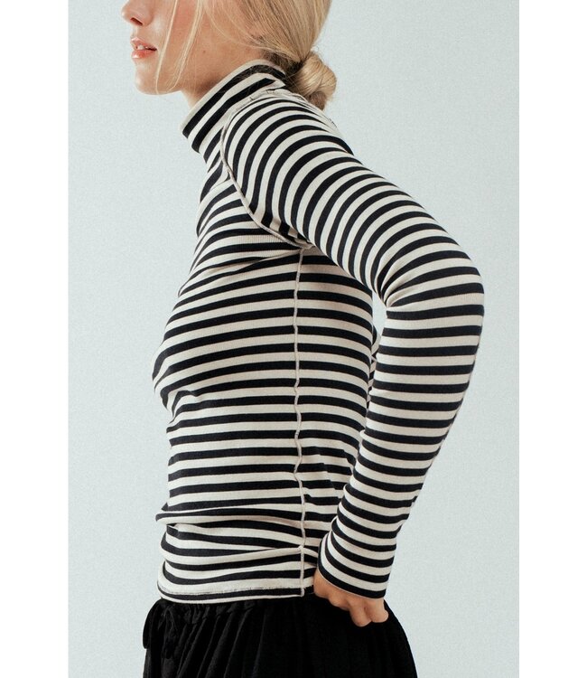 Striped Turtleneck Knit Top