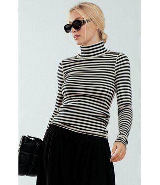Striped Turtleneck Knit Top
