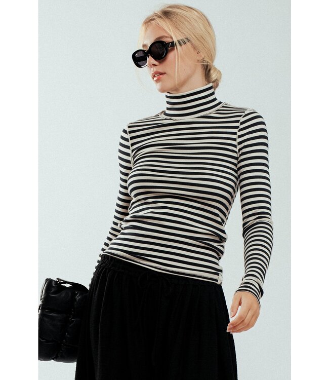 Striped Turtleneck Knit Top