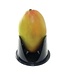 Grip-EZ Mango Slicer
