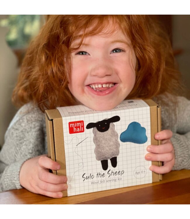 Sheep and Cloud Wool Felt Sewing Kit