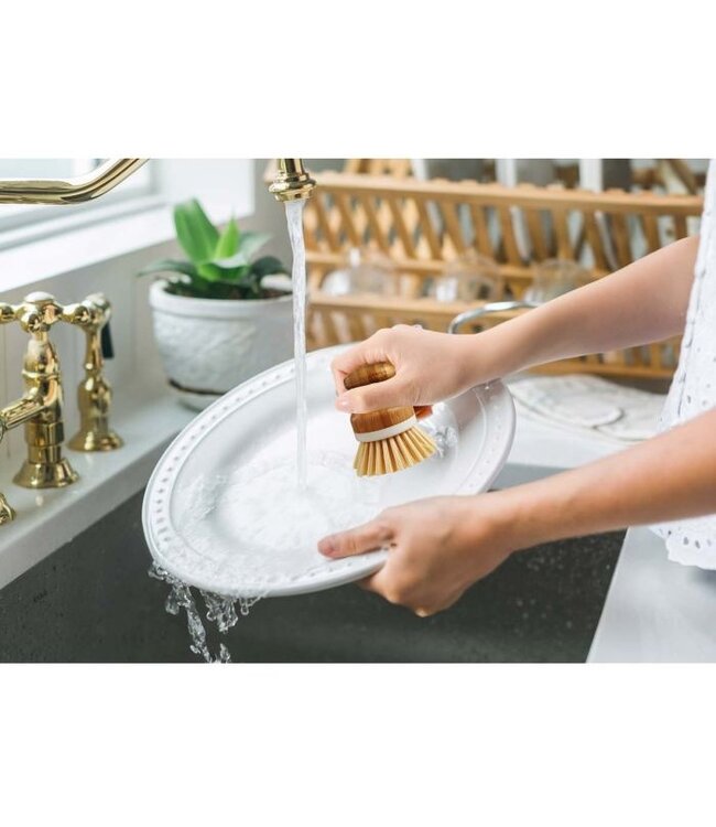 HIC Harold Import Company Dishwashing Vegetable Brush