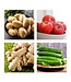HIC Harold Import Company Dishwashing Vegetable Brush