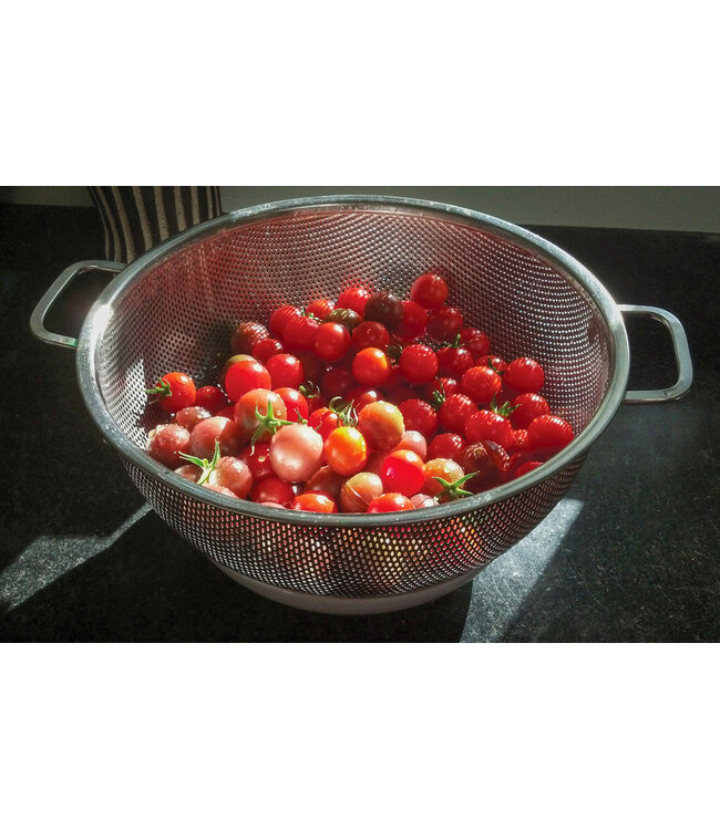 RSVP Endurance® Precision Pierced Colander - 5Qt