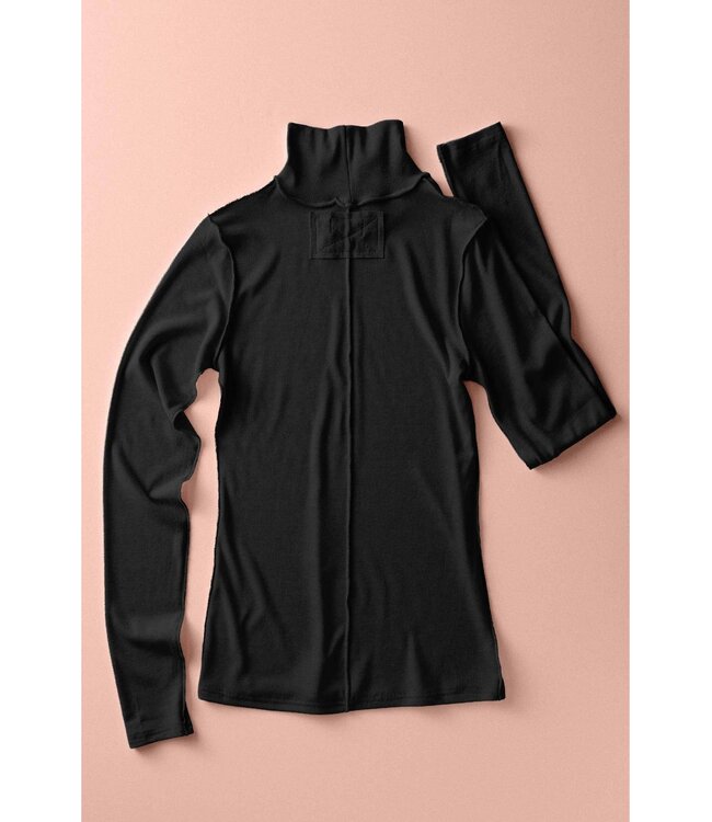 Contrast Seam Turtleneck Knit Top