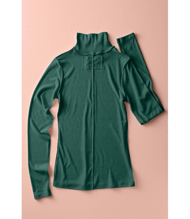 Contrast Seam Turtleneck Knit Top