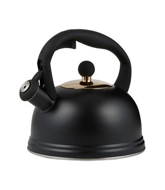 Black Stove Top Kettle
