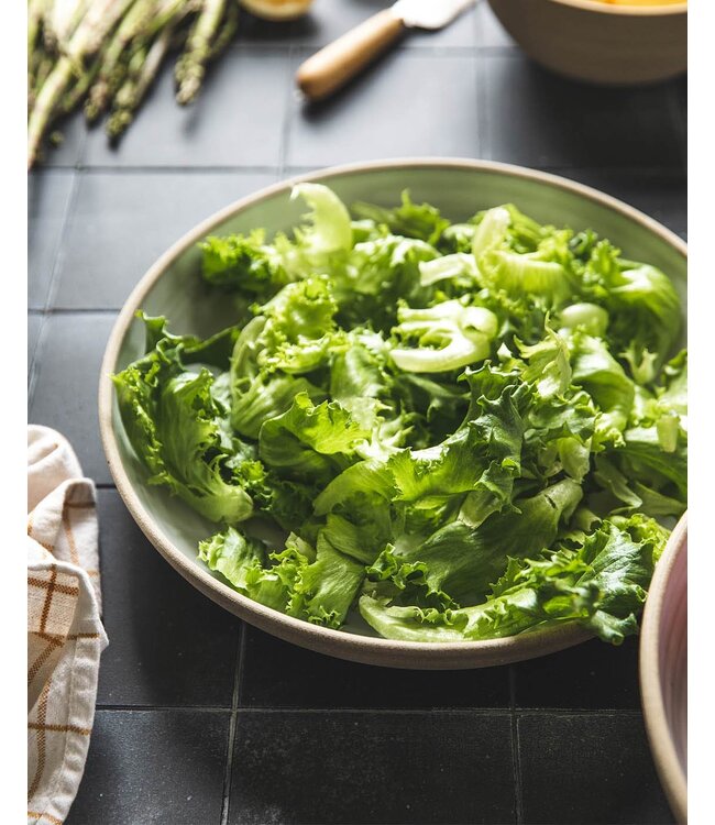 Farmhouse Pottery Harvest Serveware - Large Bowl