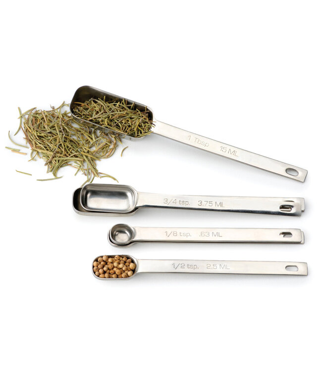 RSVP Endurance Spice Measuring Spoon - Set of 6