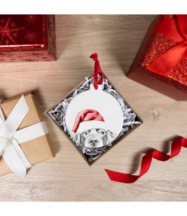 Lab - 4" Ceramic Ornament