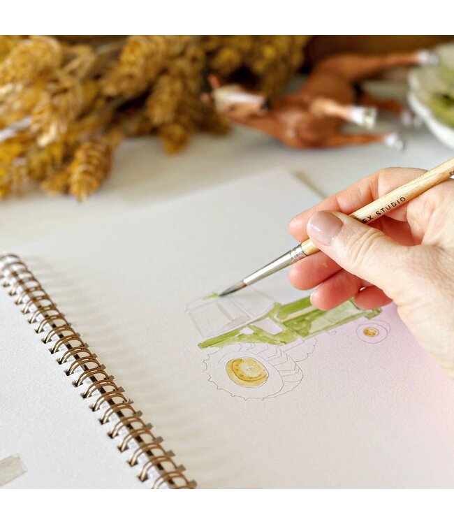 Farm Watercolor Workbook