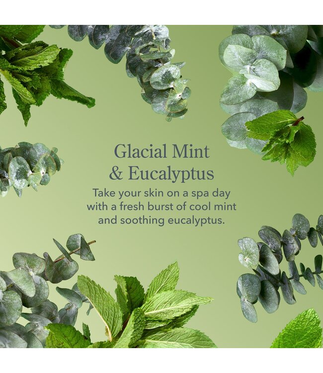 Beekman Glacial Mint + Eucalyptus Body Wash