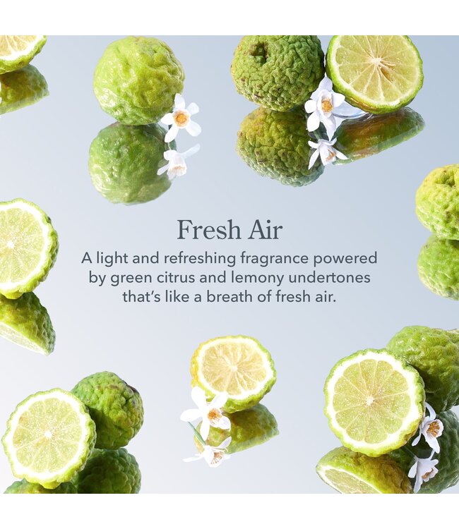 Beekman Fresh Air Whipped Body Cream