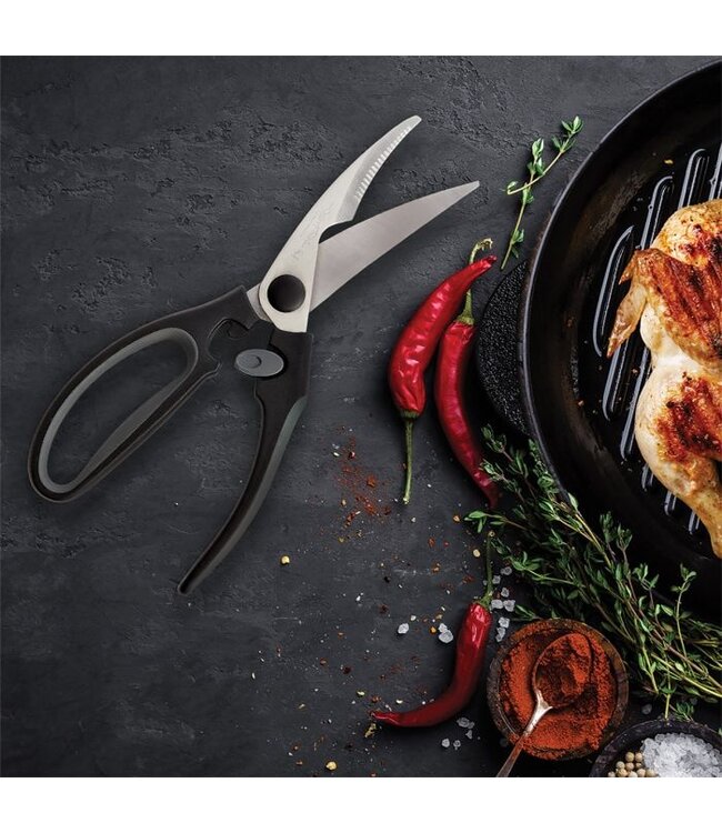 HIC Harold Import Company Roasting Poultry Shears