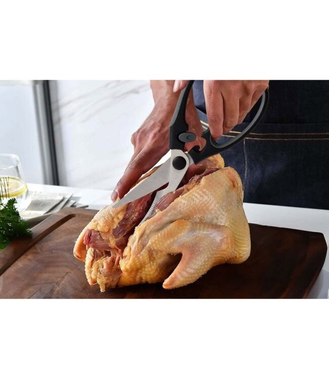 HIC Harold Import Company Roasting Poultry Shears