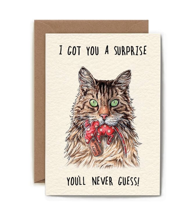 Hester & Cook Hester & Cook Cards