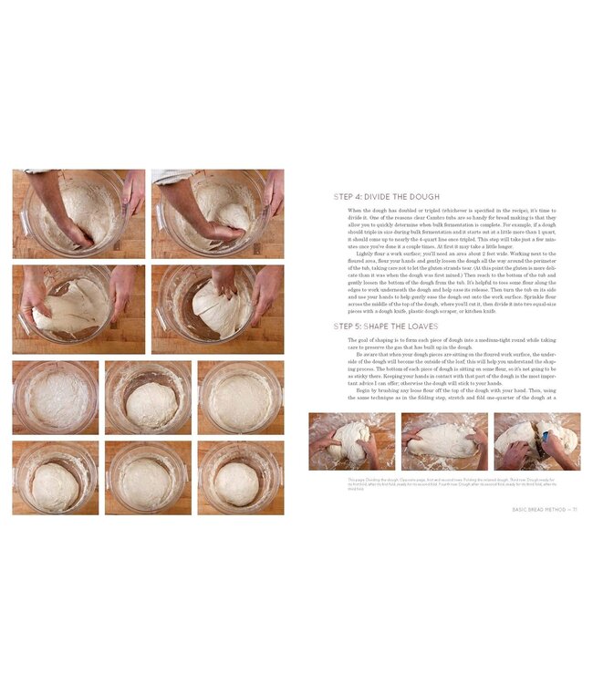 Flour Water Salt Yeast