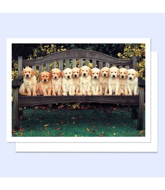 Dog Years Happy Birthday Greeting Card