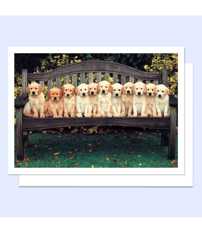 Dog Years Happy Birthday Greeting Card
