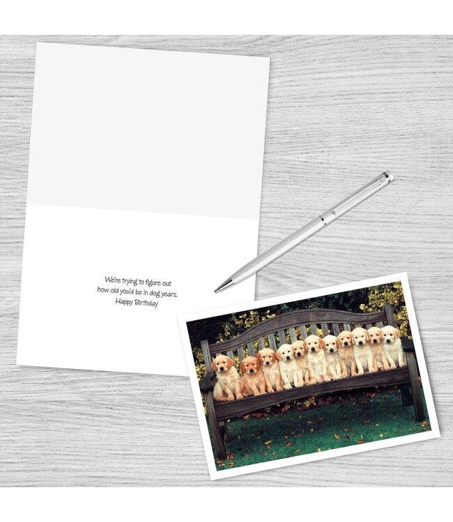 Dog Years Happy Birthday Greeting Card