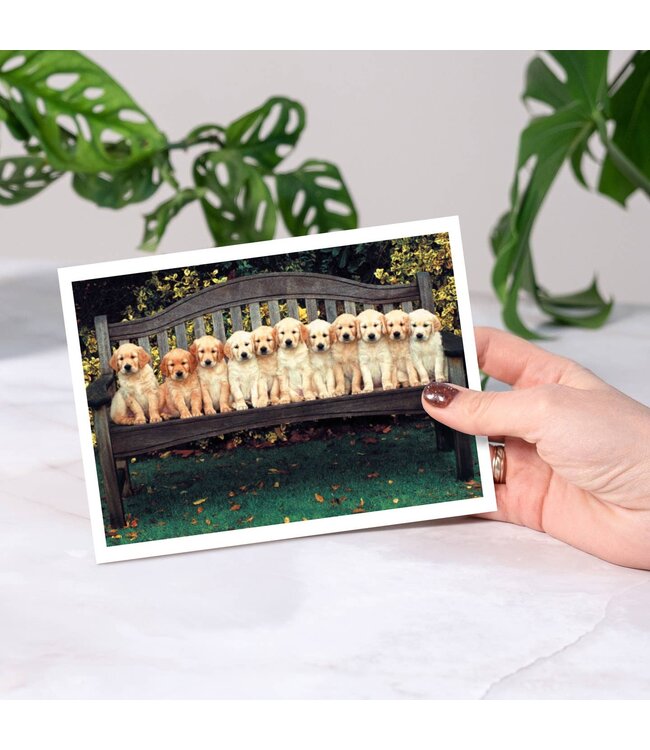 Dog Years Happy Birthday Greeting Card