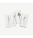 Garden Herbs Napkins / Set of 4